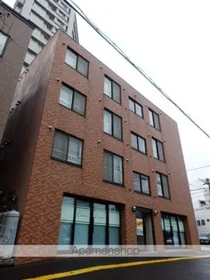 ジプソヒラ55の画像