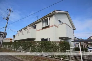 リバティグリーンの画像