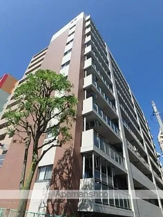 PRIMAL MACHIDAの画像