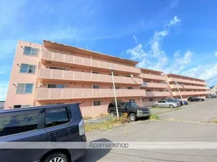 チェリーコートⅡの画像