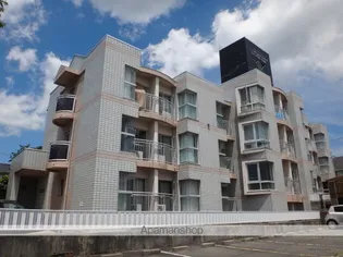 ラズベリー中山【201号室】の外観