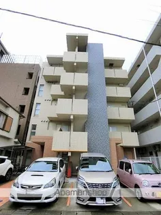 クレステッドFSの画像