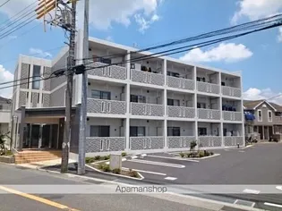フリシュアイリスの画像