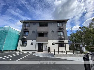 カトレア3の画像