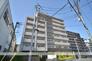 エクセルソフィアの画像