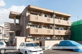 シルク林の画像