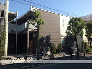 ミランダファレノの画像