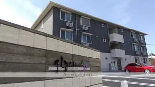 グリシーヌの画像