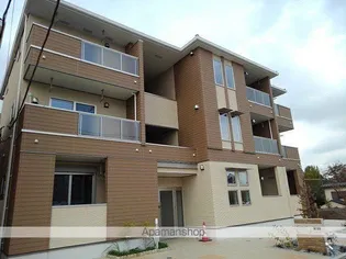 カメリアK Iの画像