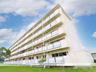 ビレッジハウス楠Ⅱ2号棟【4階】の外観