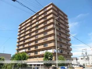 マリベール中須賀の画像