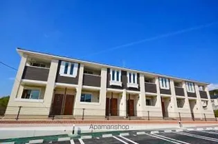 サニー カーサー横田の画像