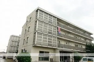 アムール奥井の画像