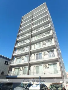 クラッセ大通り東の画像