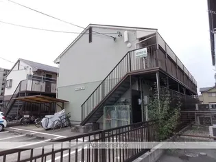 ルピナス21の画像