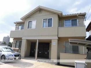 ステラコートの画像