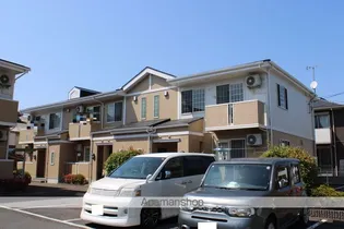 ボナールAの画像