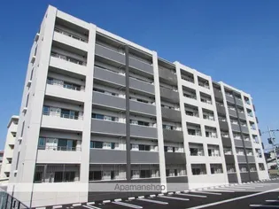 ELEVITA弥永の画像