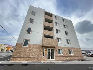 プルミエステラの画像