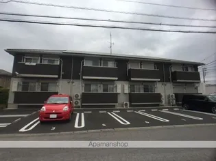 はなみずきの画像