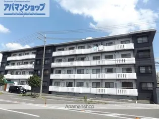 CHAINONの画像