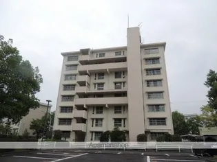 高陽金平団地 2号棟の画像
