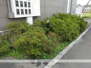 レオパレス飯島Ⅱ【103号室】のその他画像