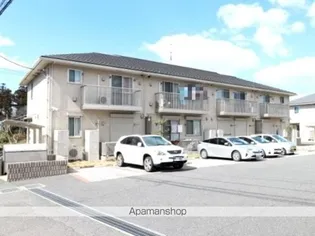 プラシデスABの画像