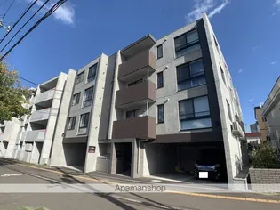 PINO KITAMARUYAMAの画像