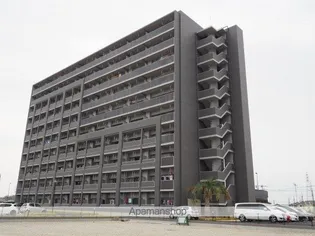 ティエラ フェリスの画像