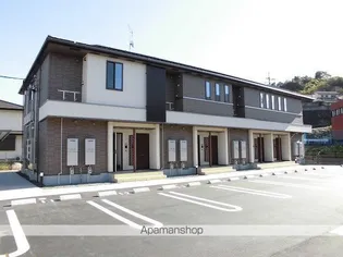 フィデールAの画像