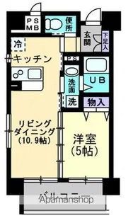 RAFFINE【801号室】の間取り