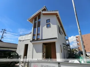 STELLA KIRIの画像