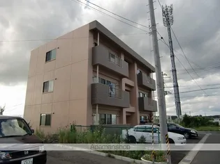 サンハイツ神明の画像