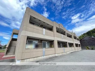 グレイスの画像