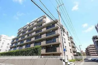 ライオンズマンション富沢【3階】の外観