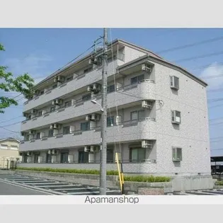 YOUNG LEAVESの画像