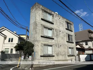 トリタート藤の画像