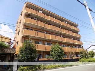 COZYの画像