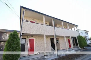 アムールアムールの画像