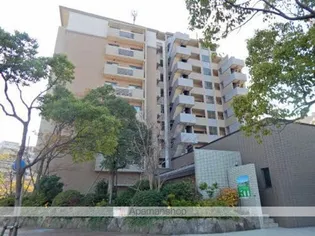 プライムメゾン照葉 S棟の画像