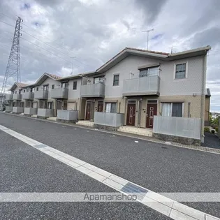 ミオアンジェラの画像