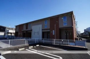 アマリリスの画像