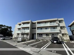 ミモザの画像