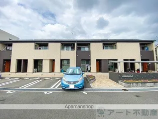 ステラ ルーチェの画像