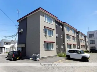 SALLA白樺の画像