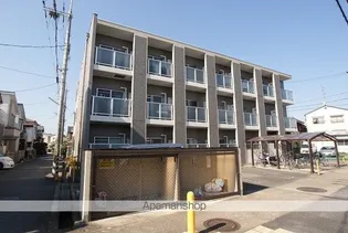 エクセレント秋桜の画像