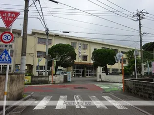 コーポ自由が丘【1C号室】の周辺
