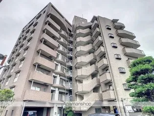 ビュー雷神Ⅱの画像