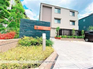 シトラスの画像